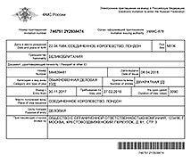 Electronic Invitation from the Migration police