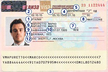 Sample of a visa